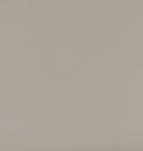 4004 Raw Concrete