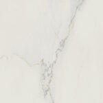 501 Snowdrift